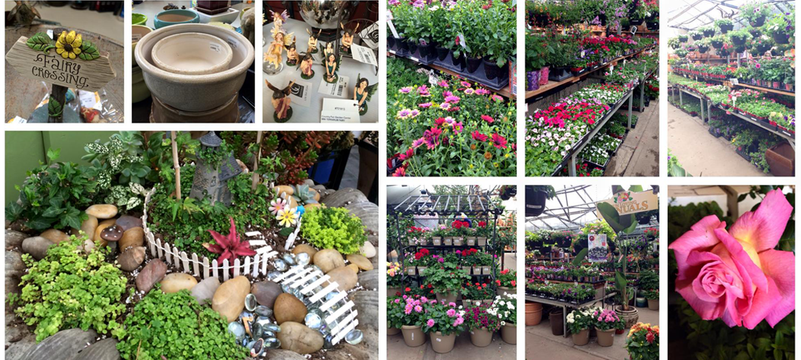 Garden Centers Denver Arvada Country Fair Slideshow Banner 1