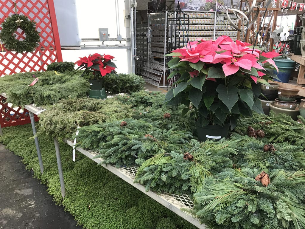Christmas Wreaths in Denver, CO