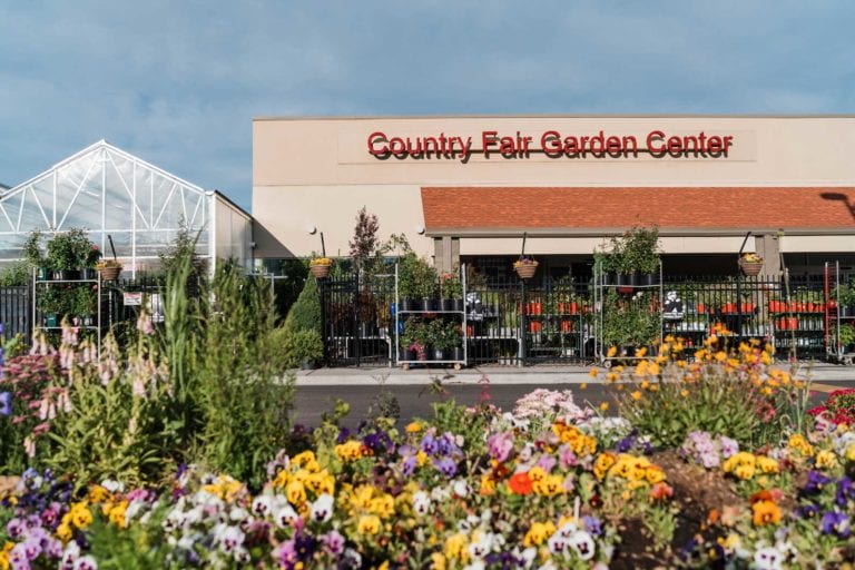 Stop By Our Denver, CO Greenhouse for All of Your Plants and Flowers