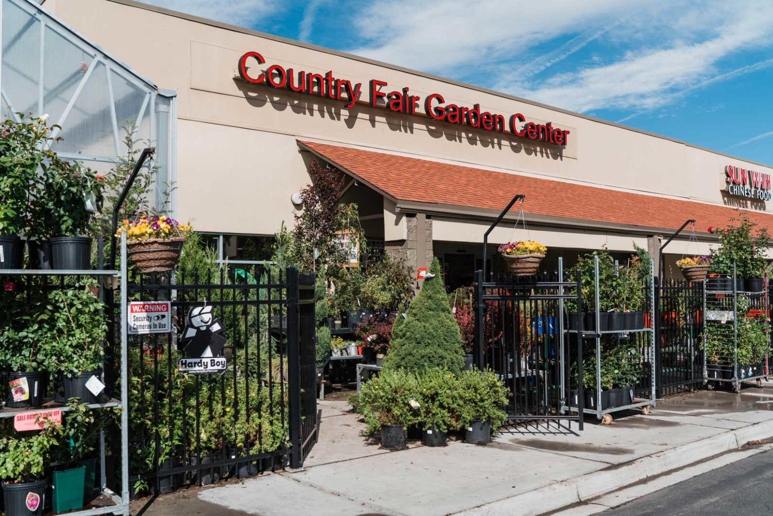 Exceptional Selection of Trees at Denver, CO Tree Nursery