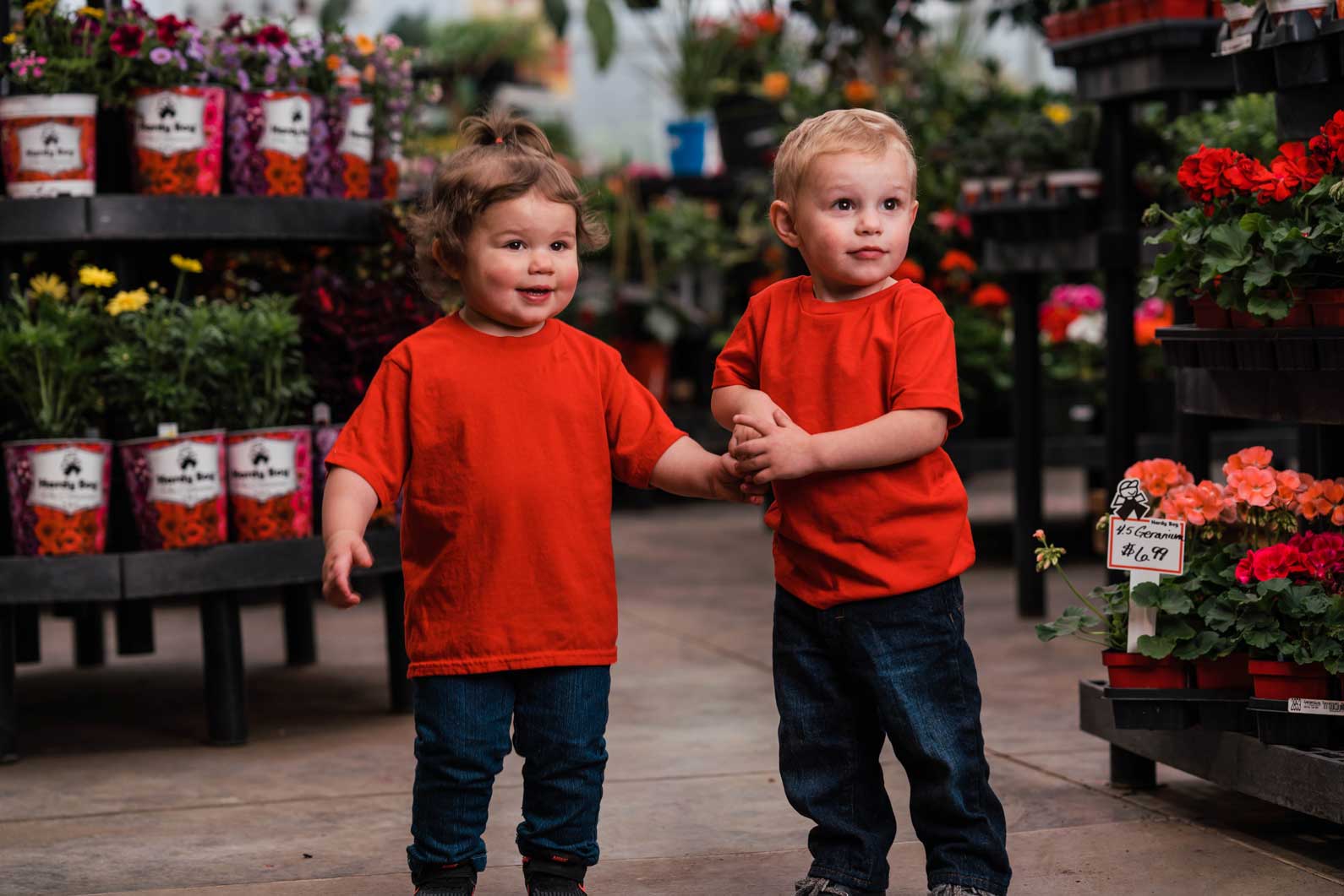 Perennial Flowers and Plants in Denver, CO