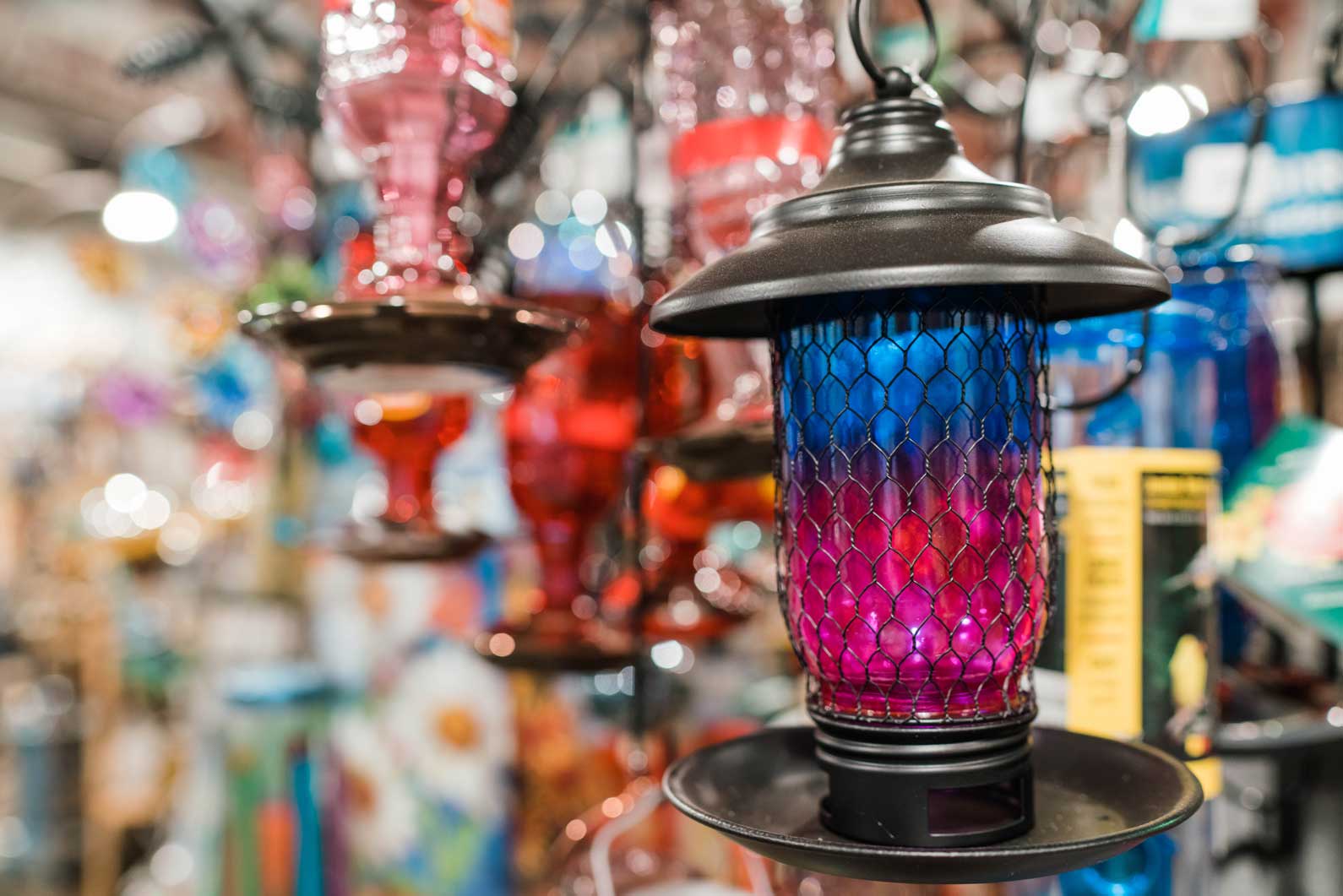 Denver, CO Garden Shop Stocking All of Your Gardening Needs