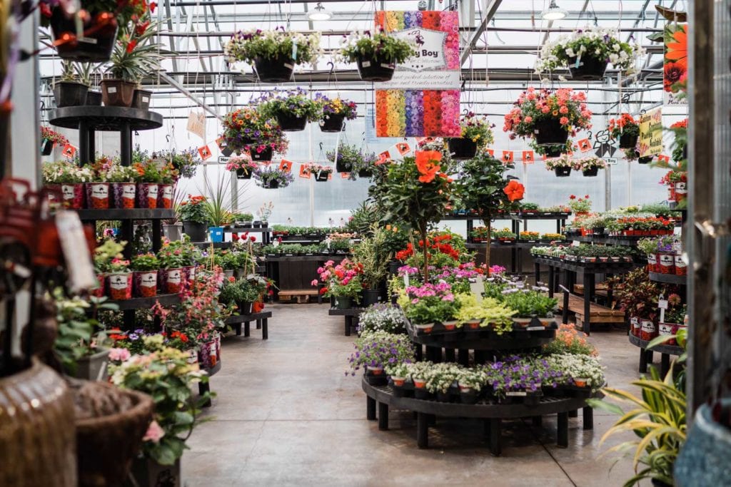 Stop By Our Denver, CO Greenhouse for All of Your Plants Stop By Our Denver, CO Greenhouse for All of Your Plants