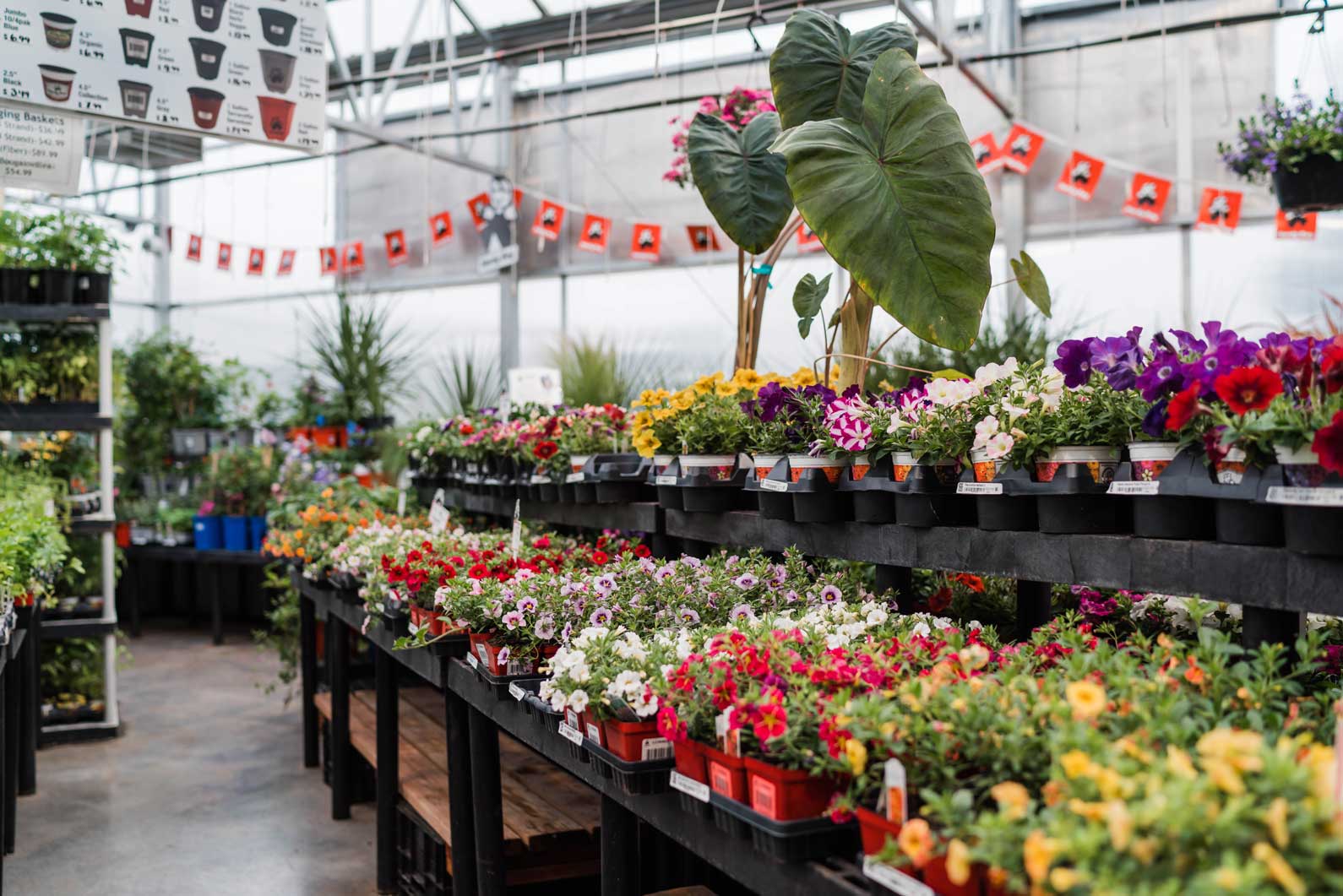 All Your Gardening Needs at Denver, Colorado's Premier Garden Center