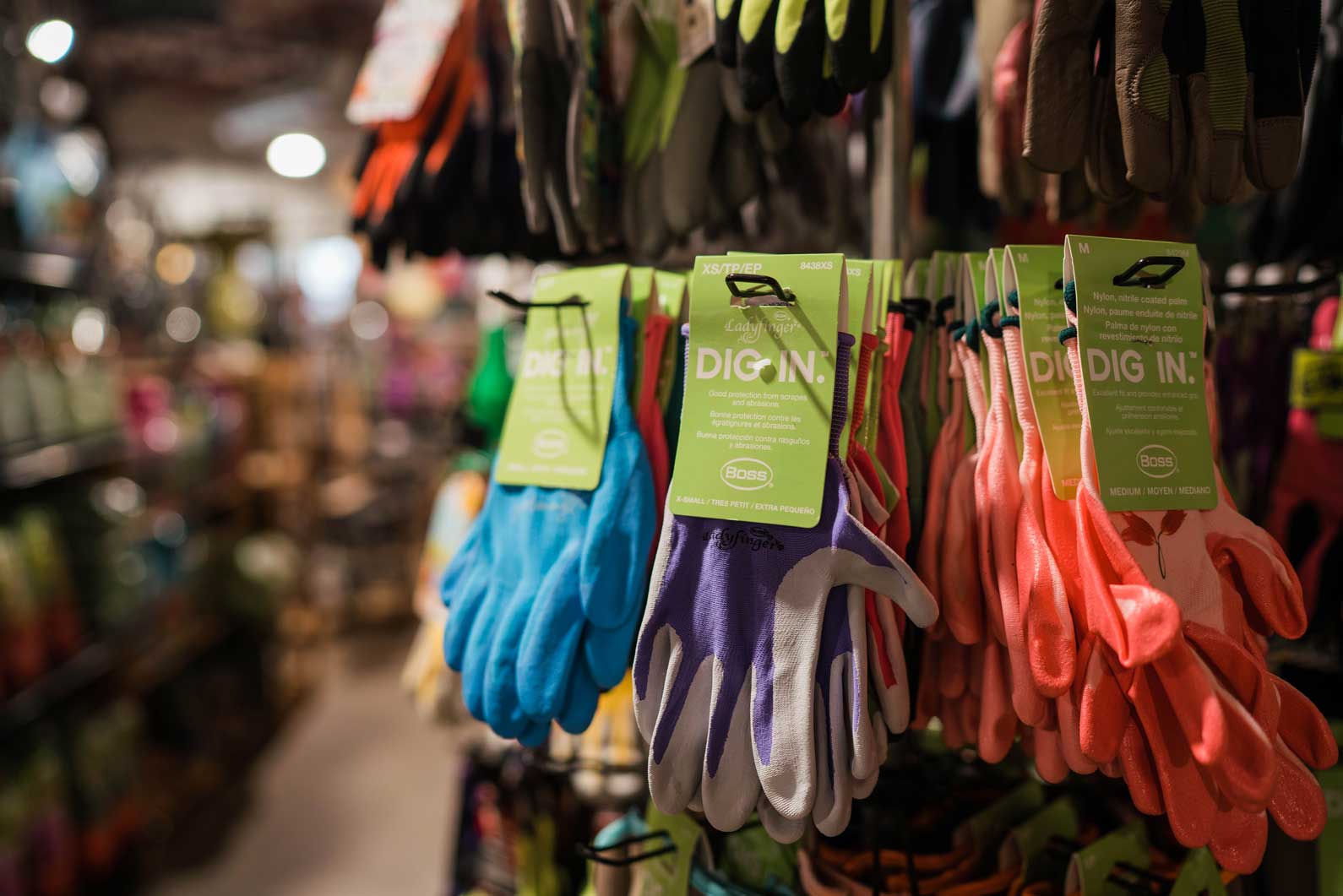 Denver, CO Garden Shop Stocking All of Your Gardening Needs